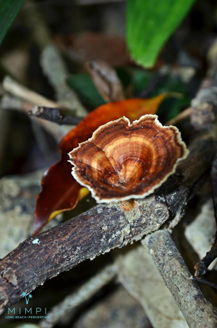Отель Mimpi Perhentian Kampong Pasir Hantu Экстерьер фото